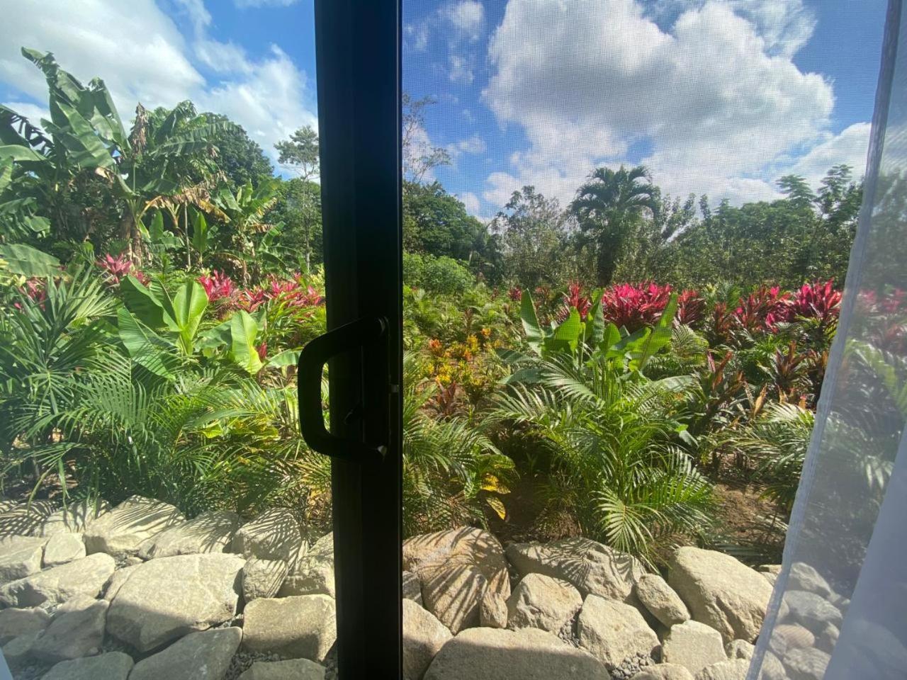 Toucan Home ラ・フォルトゥナ エクステリア 写真